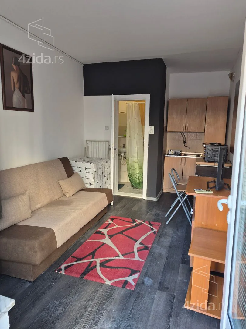 Garsonjera, 17 m², Grbavica