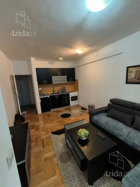 Jednoiposoban stan za izdavanje, Cara Dušana 90